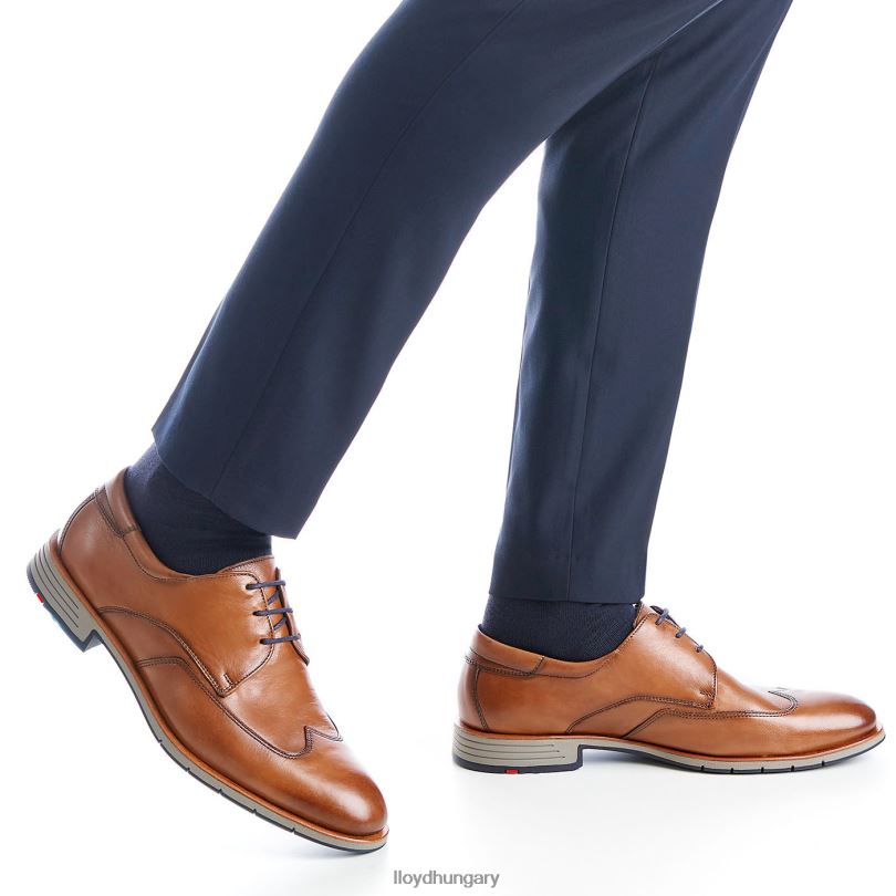 cipő HU LLOYD férfiak taylor barna 6444N1325