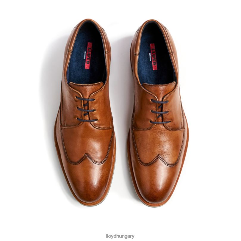 cipő HU LLOYD férfiak taylor barna 6444N1325