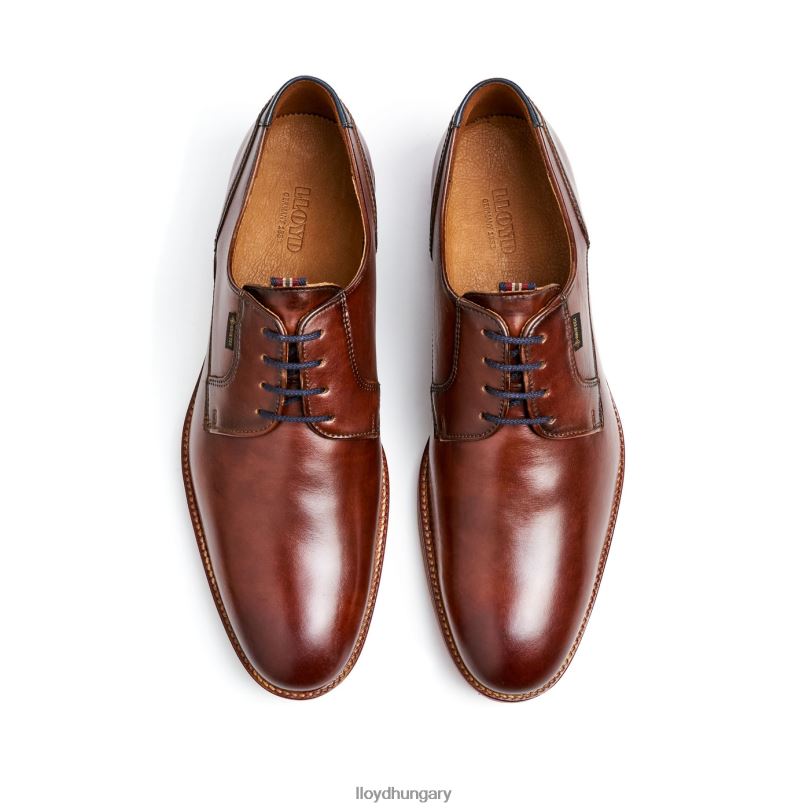 cipő HU LLOYD férfiak vickers barna 6444N122