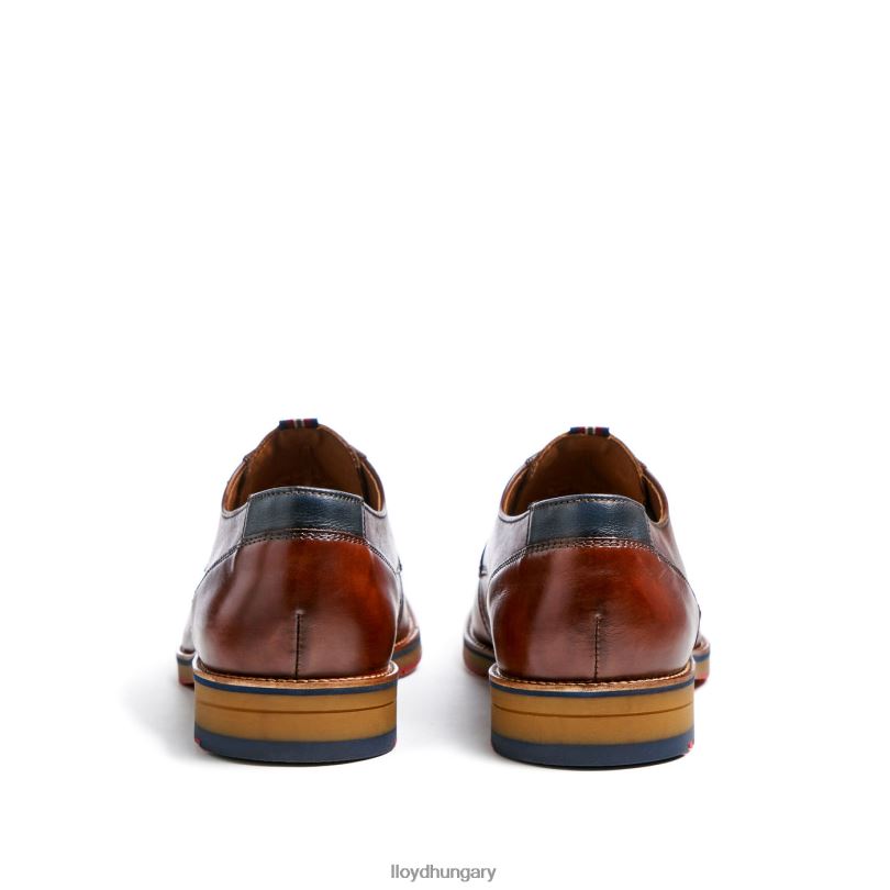 cipő HU LLOYD férfiak vickers barna 6444N122