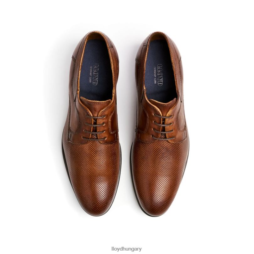 cipő HU LLOYD férfiak villám barna 6444N87