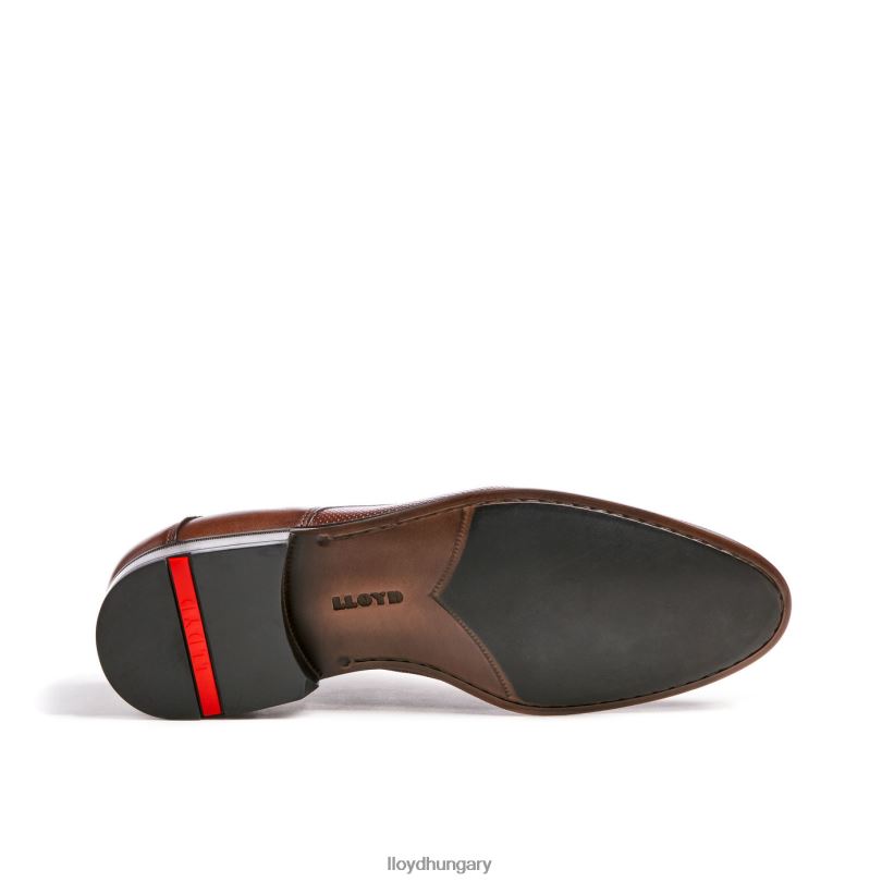 cipő HU LLOYD férfiak villám barna 6444N87