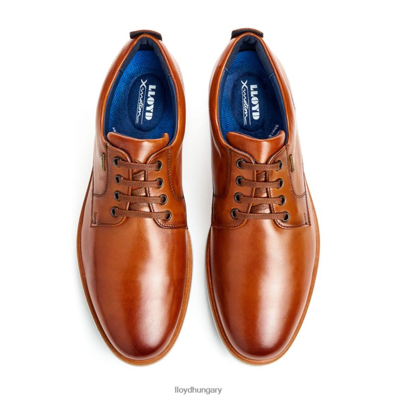 cipő HU LLOYD férfiak vin barna 6444N139