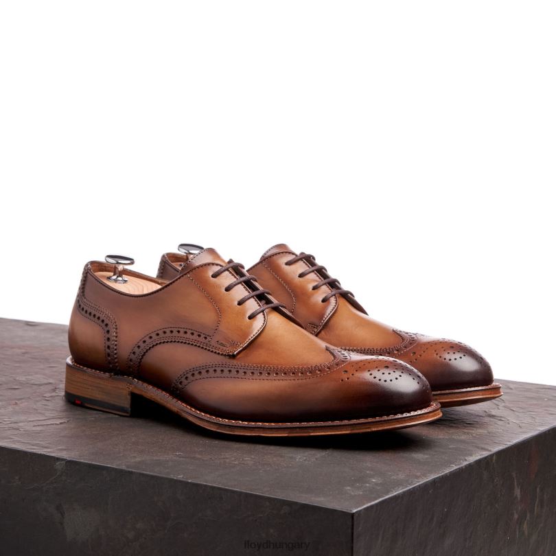 cipő HU LLOYD férfiak warwick barna 6444N74