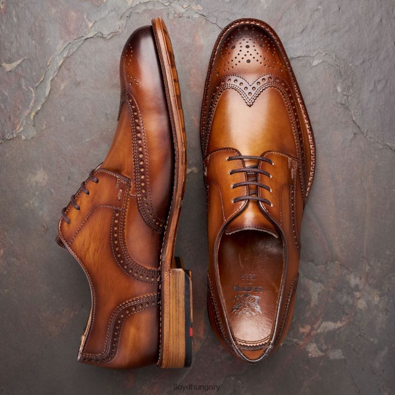 cipő HU LLOYD férfiak warwick barna 6444N74