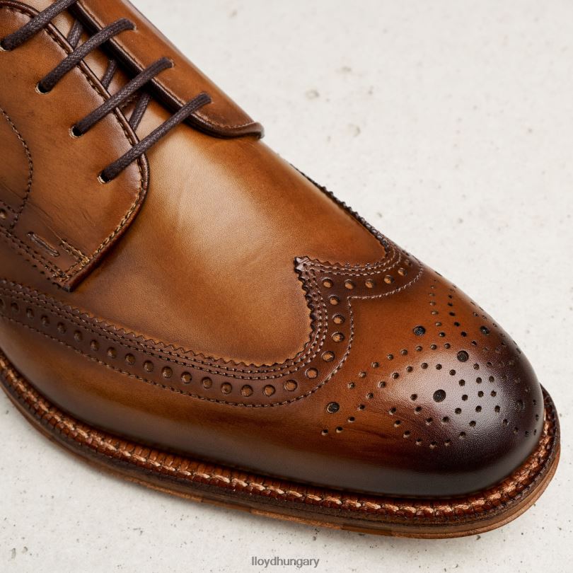 cipő HU LLOYD férfiak warwick barna 6444N74