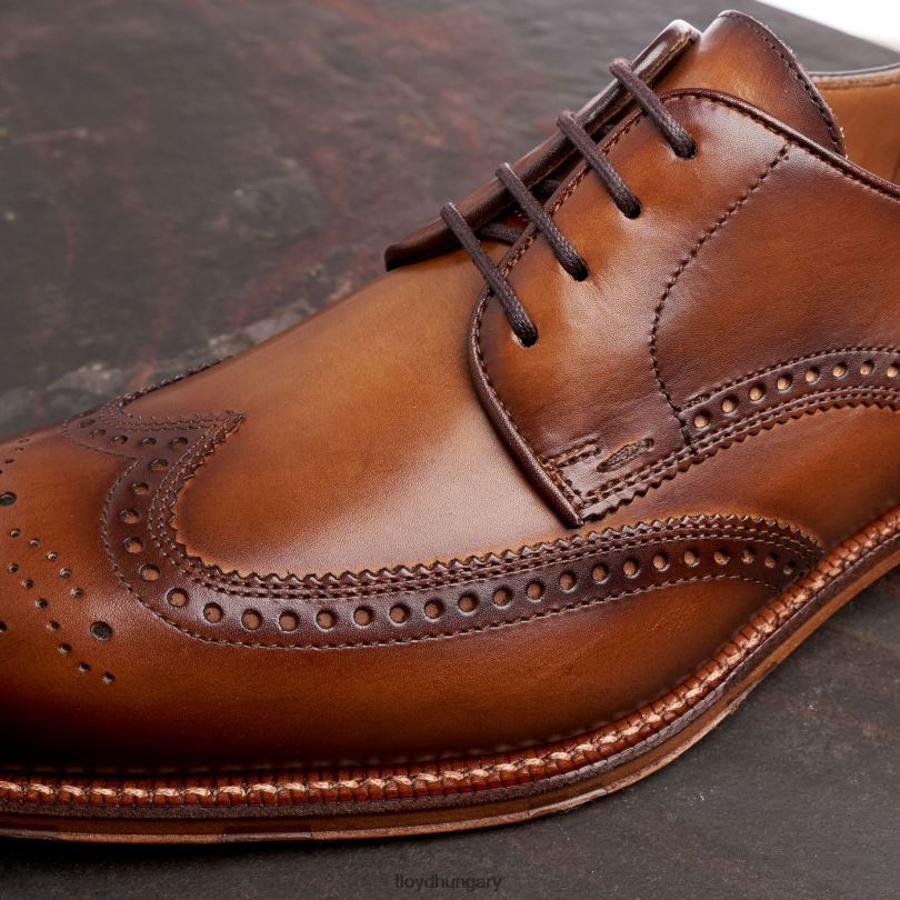 cipő HU LLOYD férfiak warwick barna 6444N74