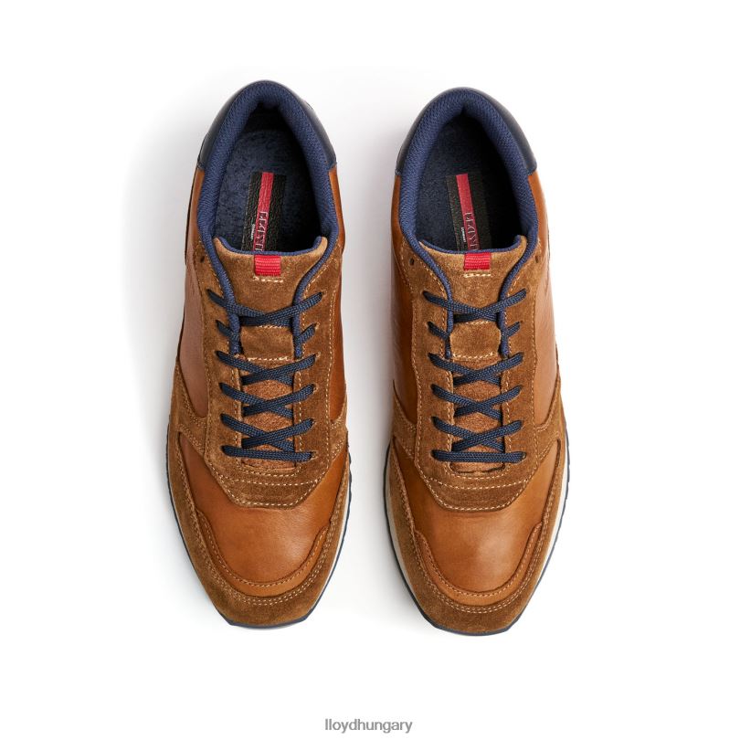 cipő HU LLOYD férfiak Edmond barna 6444N310