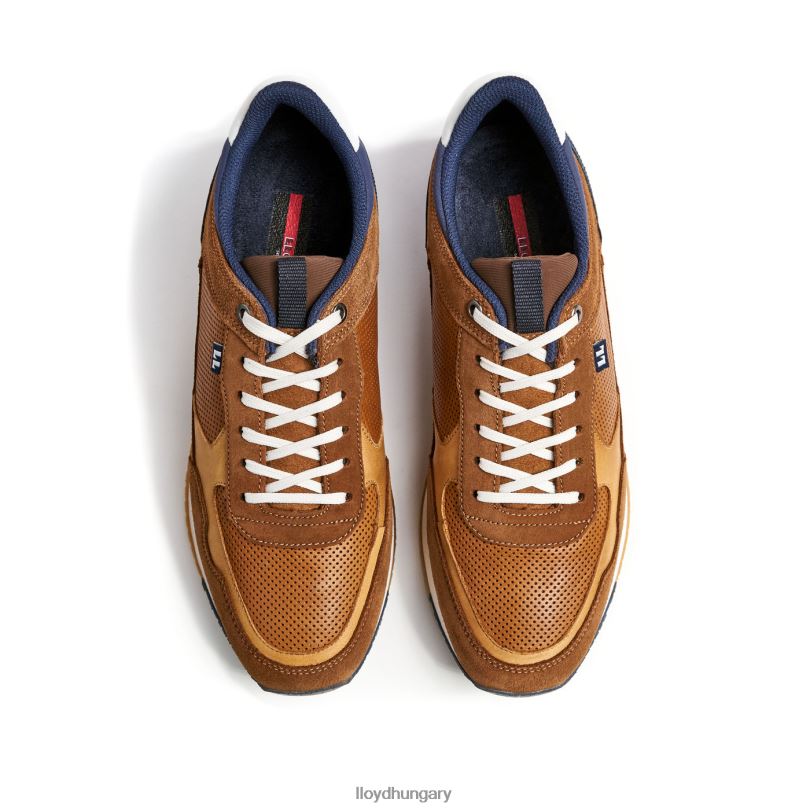 cipő HU LLOYD férfiak Emilian barna 6444N282