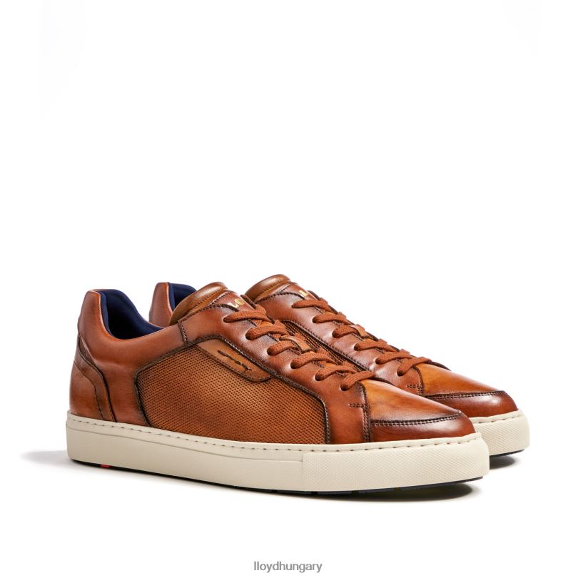 cipő HU LLOYD férfiak Malaga barna 6444N1327