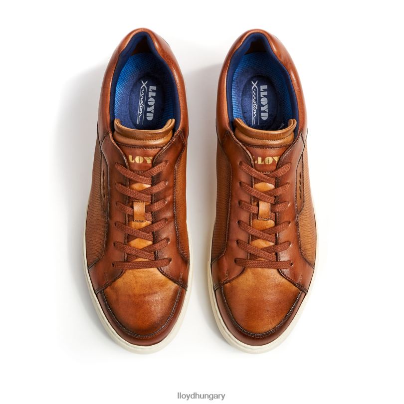 cipő HU LLOYD férfiak Malaga barna 6444N1327