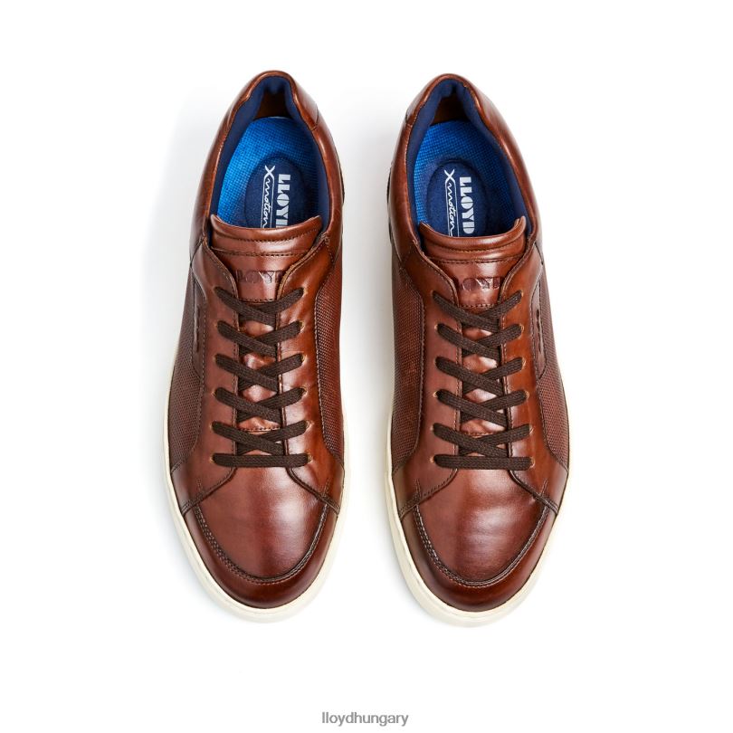 cipő HU LLOYD férfiak Malaga barna 6444N249