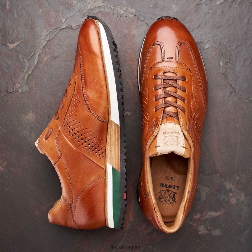 cipő HU LLOYD férfiak Walcott barna 6444N180