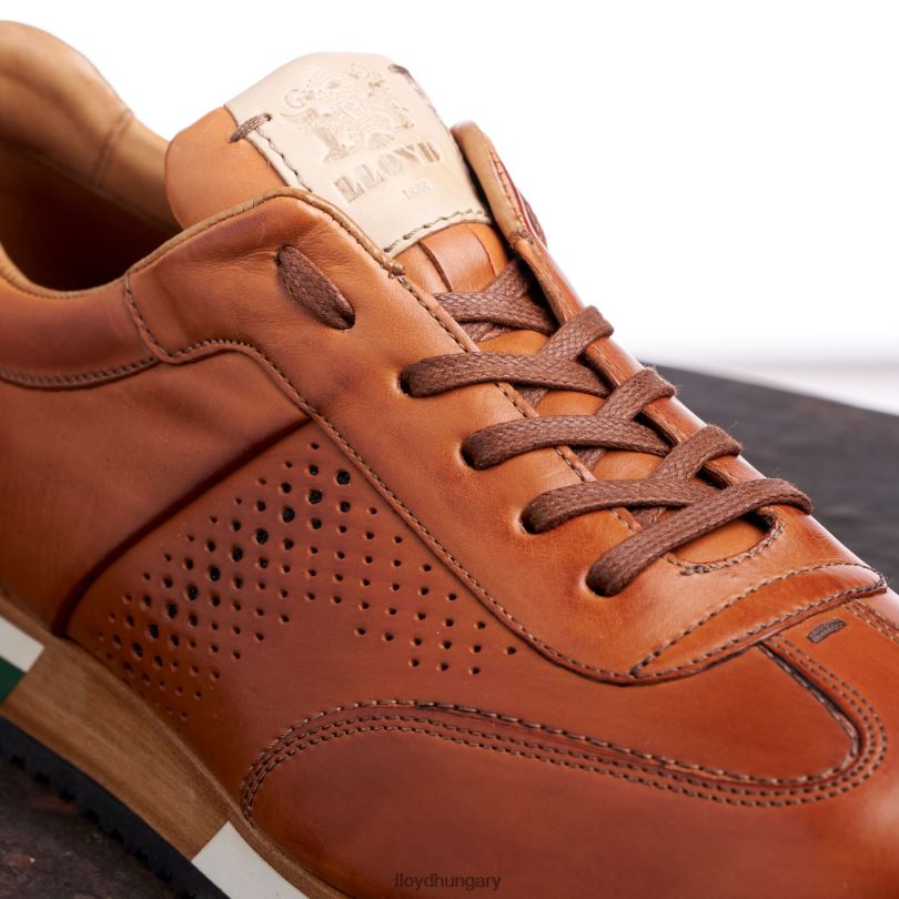 cipő HU LLOYD férfiak Walcott barna 6444N180