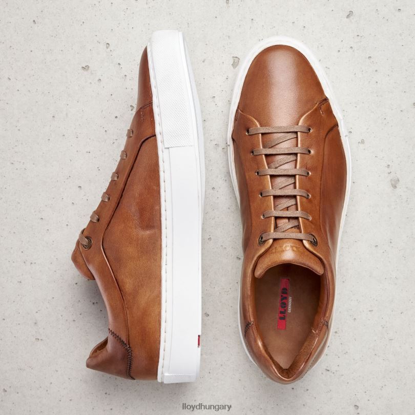 cipő HU LLOYD férfiak ajan barna 6444N391