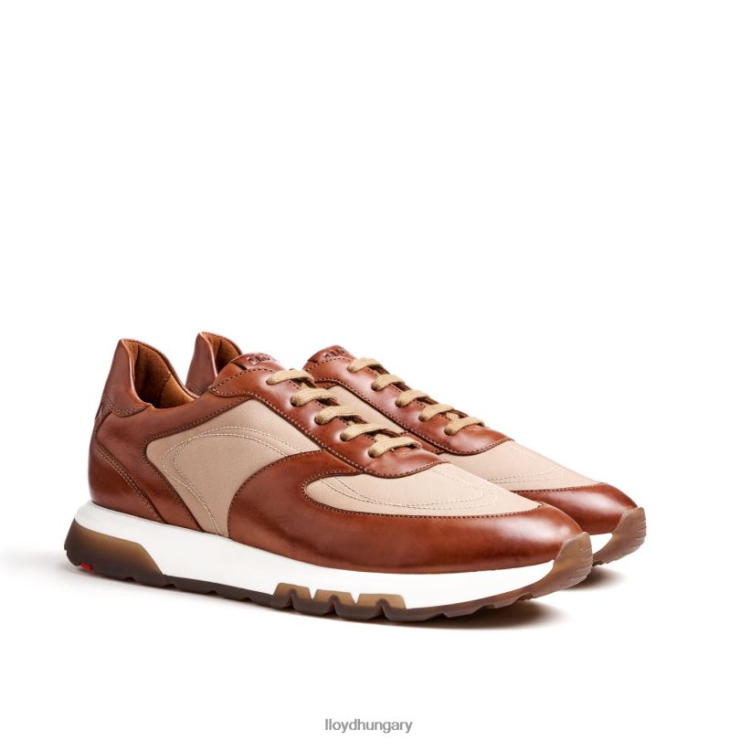 cipő HU LLOYD férfiak albany barna 6444N1337