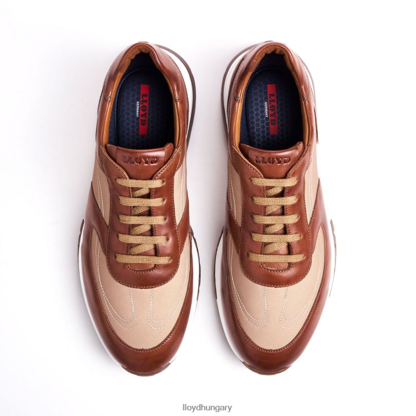 cipő HU LLOYD férfiak albany barna 6444N1337