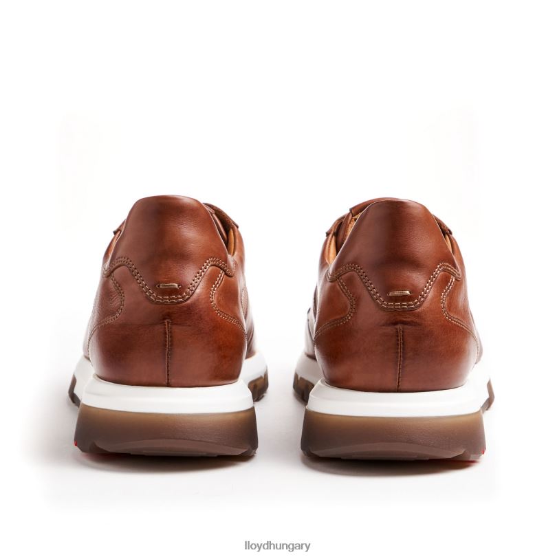 cipő HU LLOYD férfiak albany barna 6444N1337