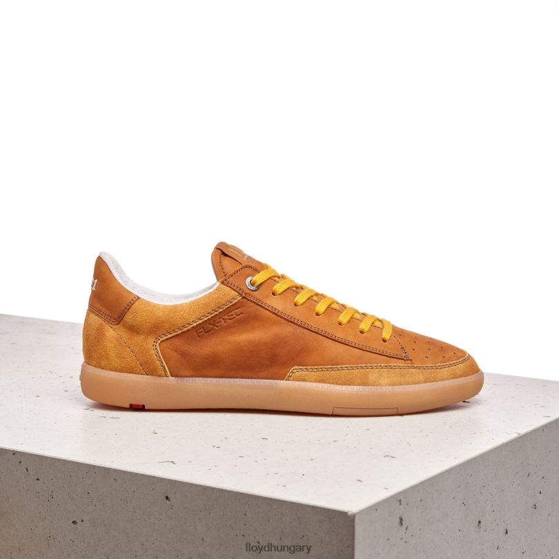 cipő HU LLOYD férfiak báró barna 6444N427