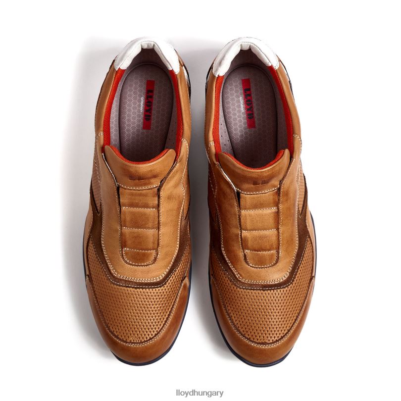 cipő HU LLOYD férfiak banfield barna 6444N347