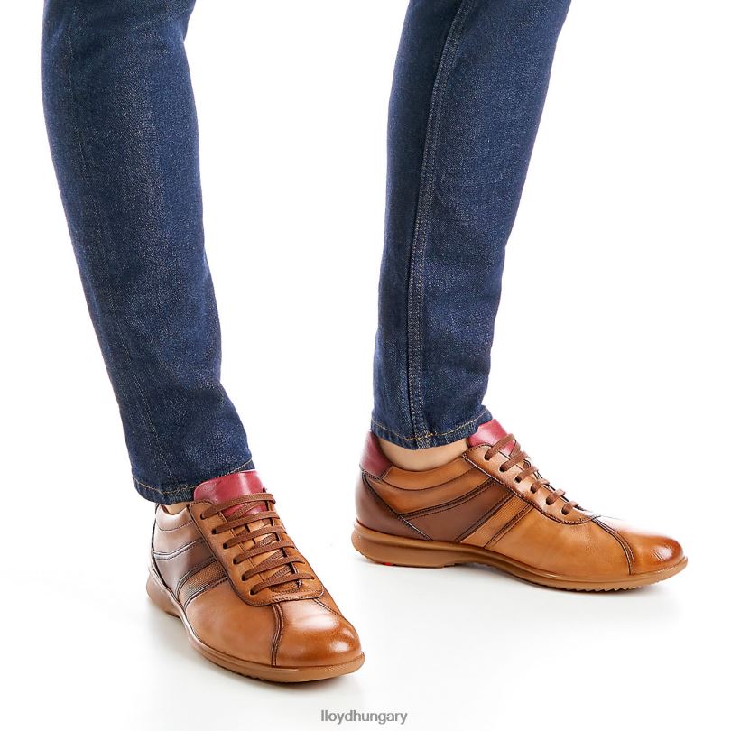 cipő HU LLOYD férfiak davos barna 6444N308