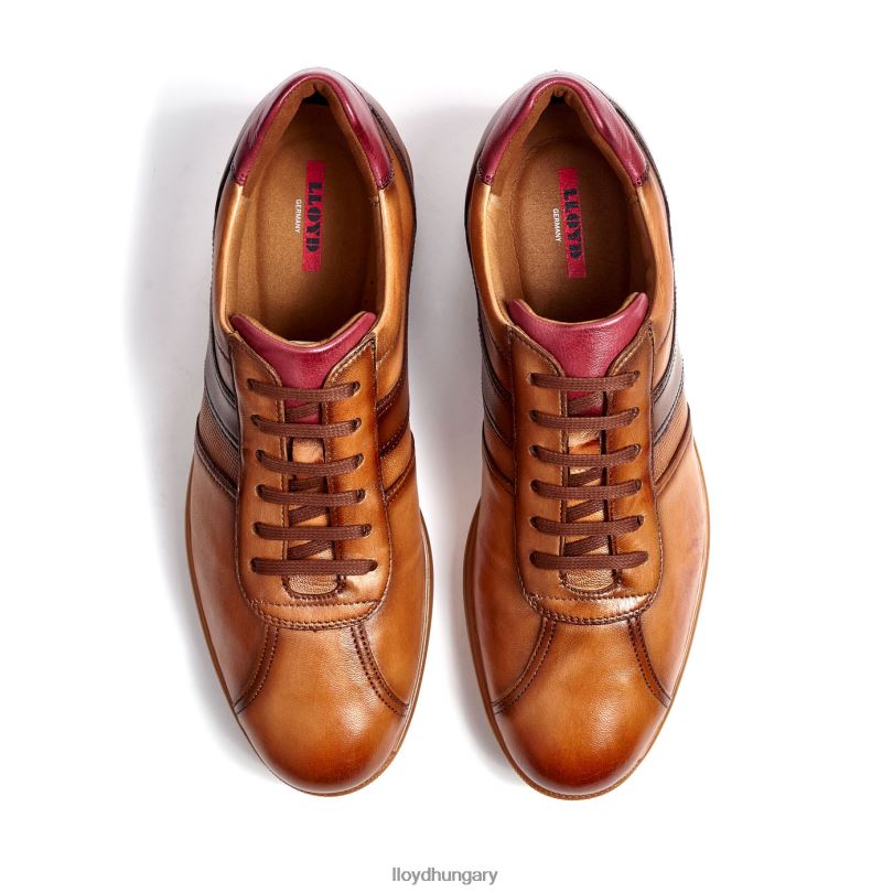 cipő HU LLOYD férfiak davos barna 6444N308