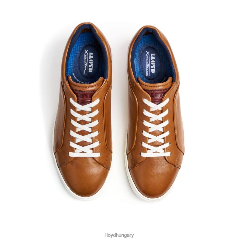 cipő HU LLOYD férfiak majuro barna 6444N258