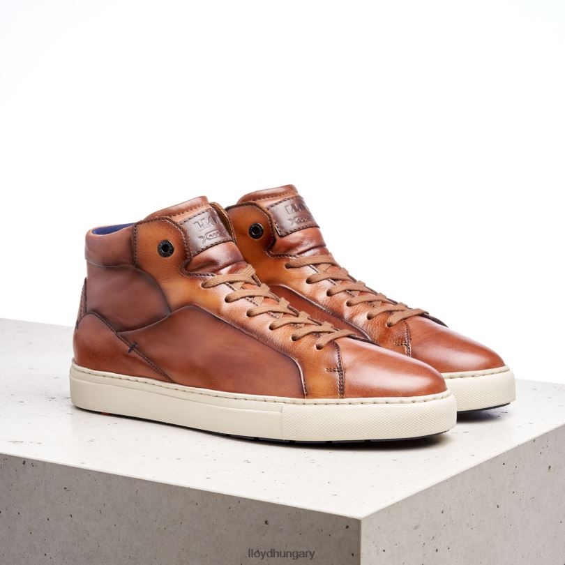 cipő HU LLOYD férfiak marsall barna 6444N254