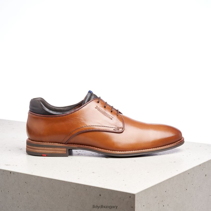 cipő HU LLOYD férfiak massimo barna 6444N201