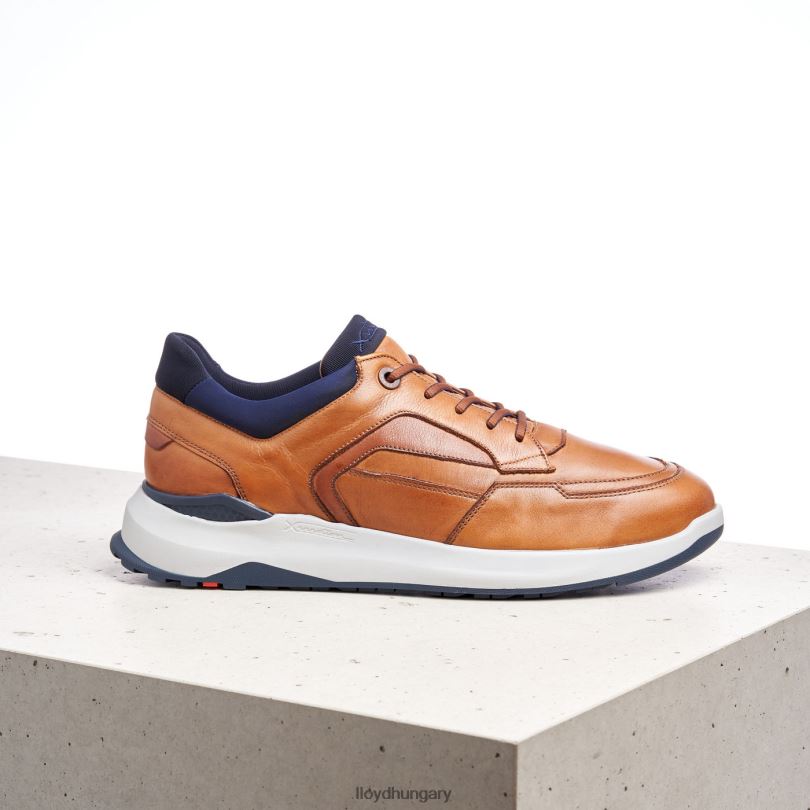 cipő HU LLOYD férfiak memphis barna 6444N1328