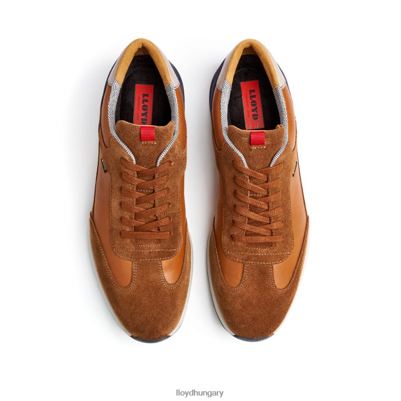 cipő HU LLOYD férfiak vedea barna 6444N322