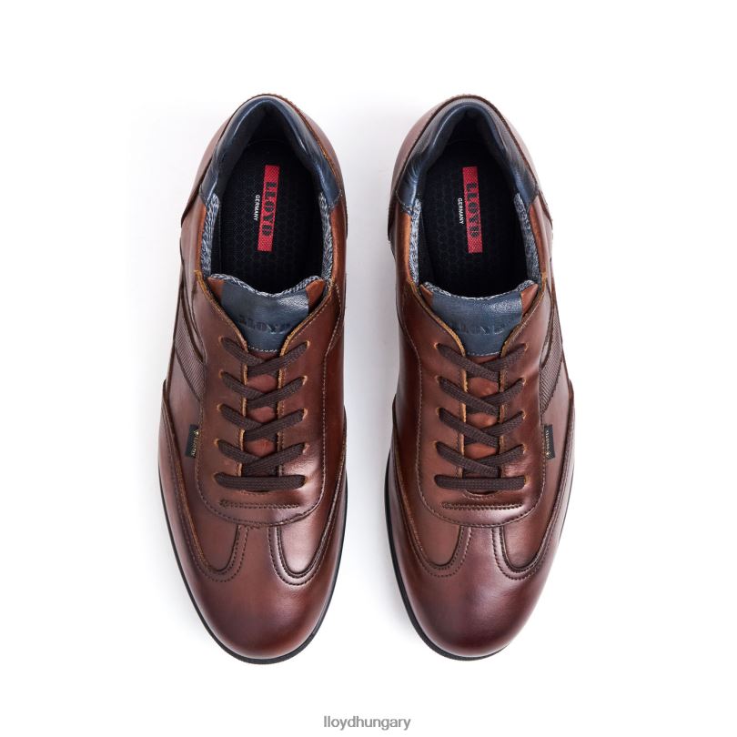 cipő HU LLOYD férfiak vernon barna 6444N136