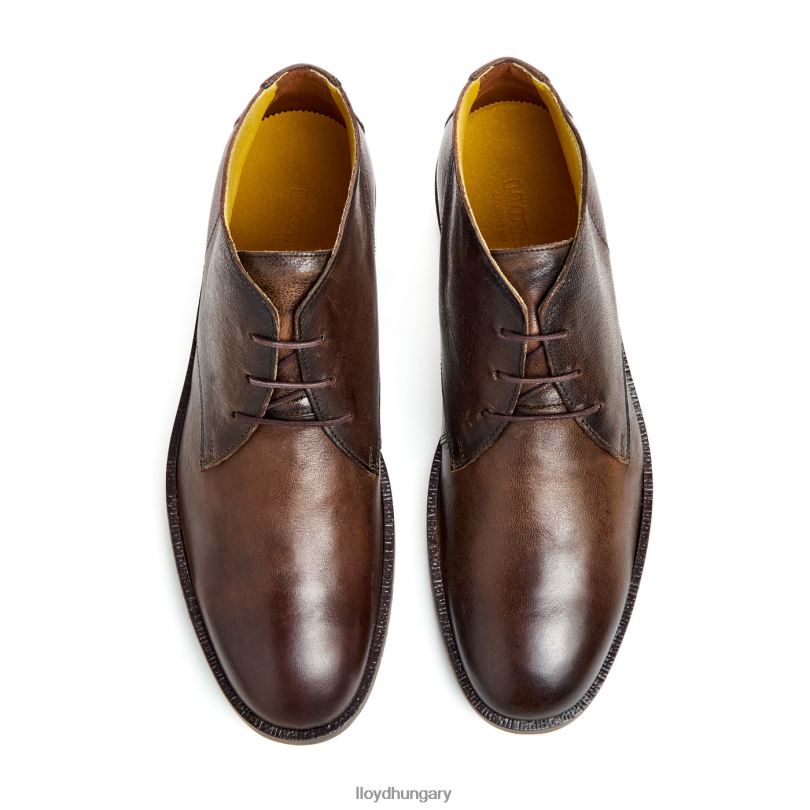 cipő HU LLOYD férfiak herceg barna 6444N43