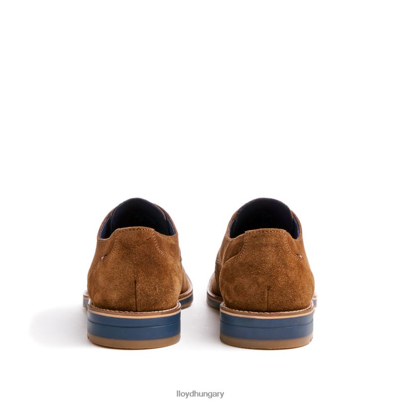 cipő HU LLOYD férfiak langston barna 6444N88