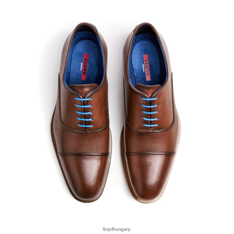 cipő HU LLOYD férfiak rabolni barna 6444N130