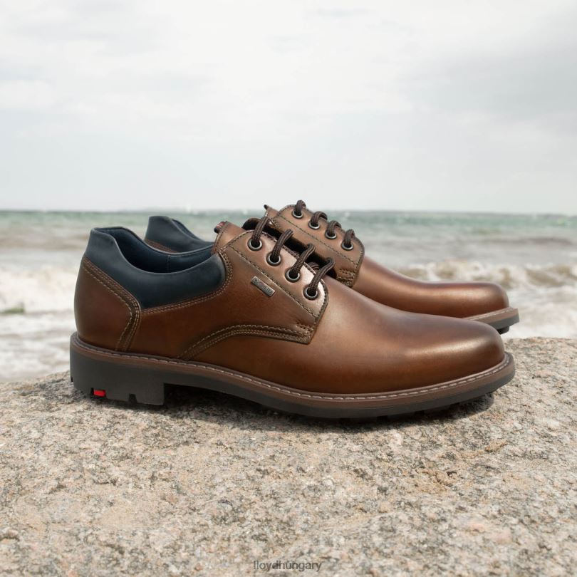 cipő HU LLOYD férfiak vanja barna 6444N576