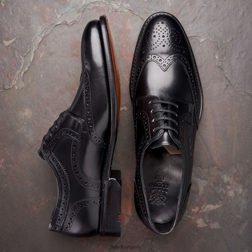 cipő HU LLOYD férfiak waltham fekete 6444N70