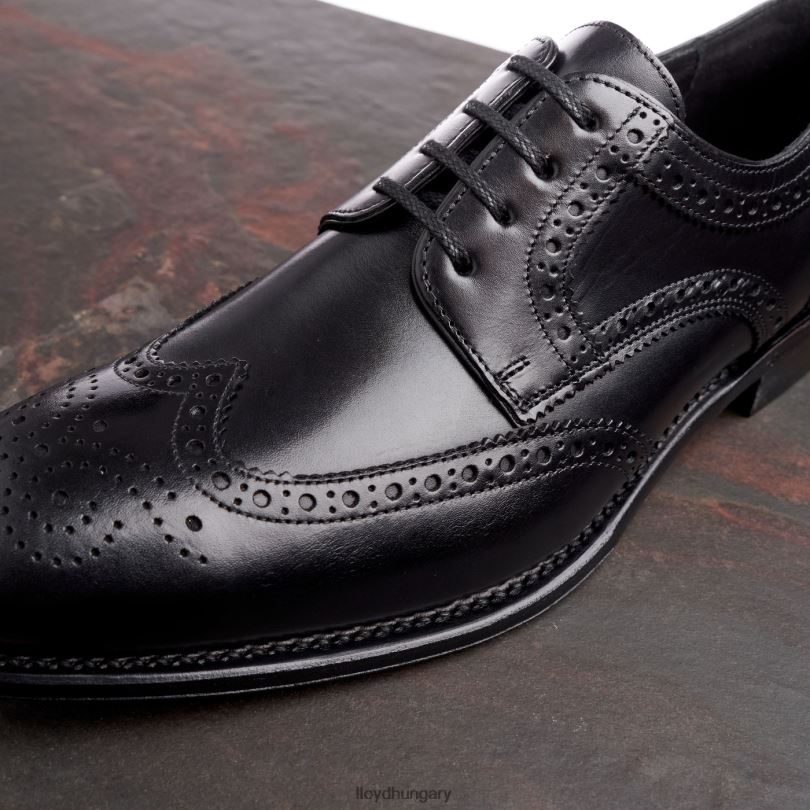 cipő HU LLOYD férfiak waltham fekete 6444N70