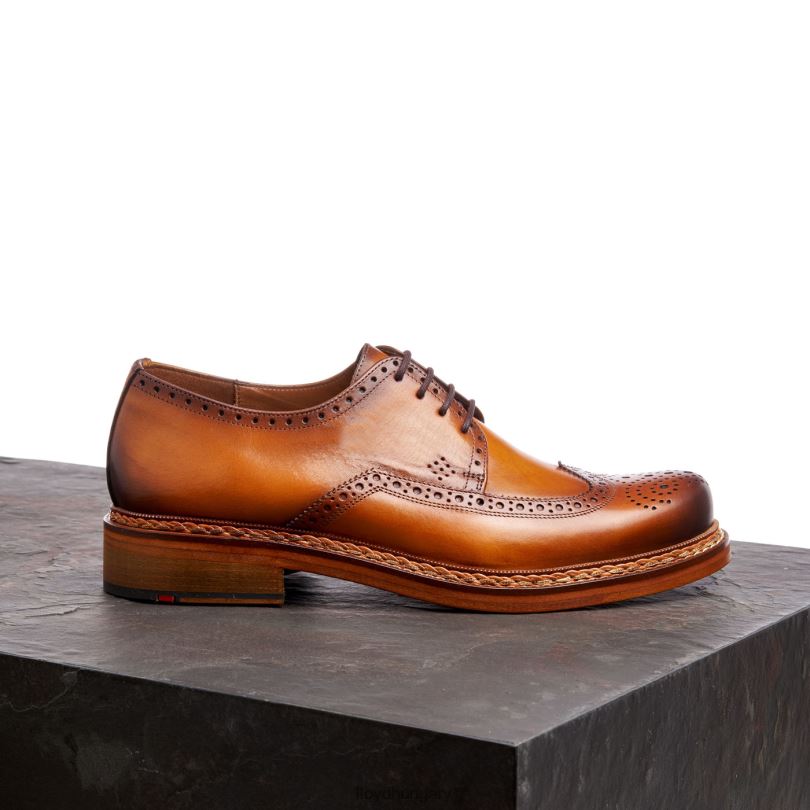 cipő HU LLOYD férfiak wotan barna 6444N163