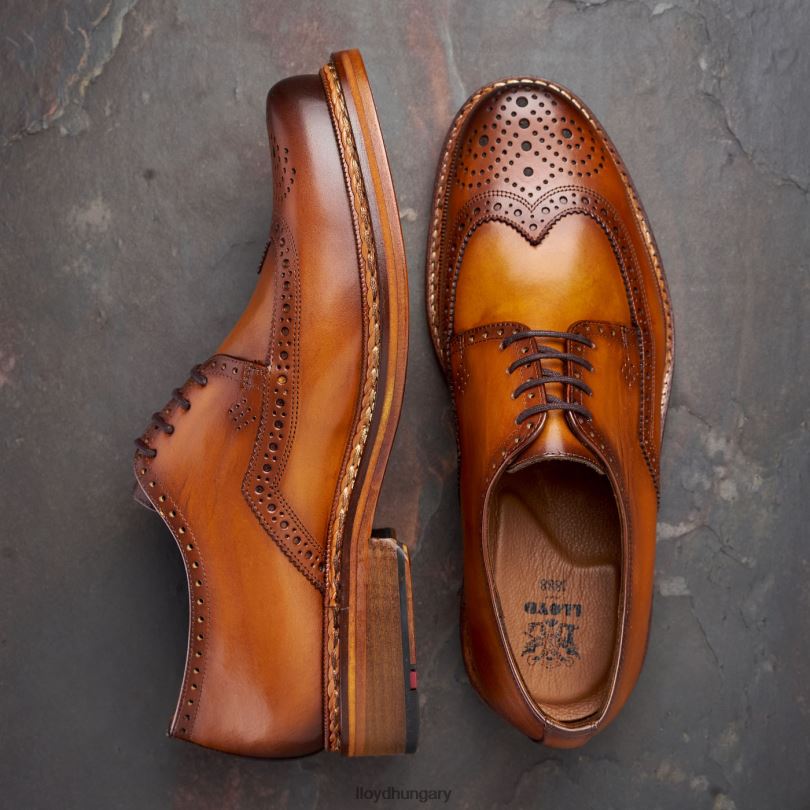 cipő HU LLOYD férfiak wotan barna 6444N163