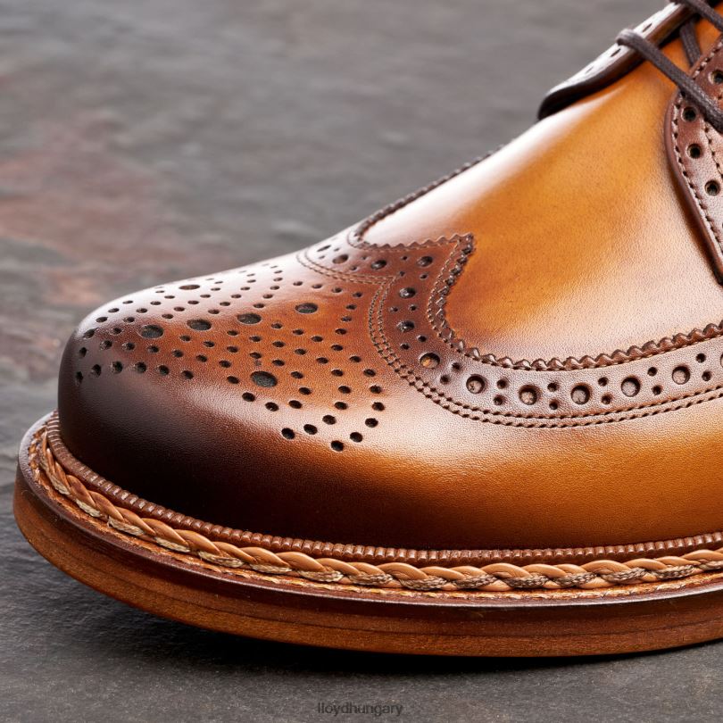 cipő HU LLOYD férfiak wotan barna 6444N163