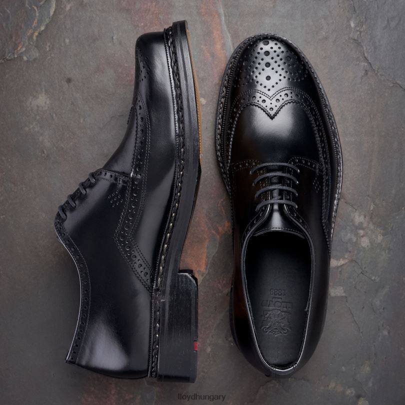 cipő HU LLOYD férfiak wotan fekete 6444N162