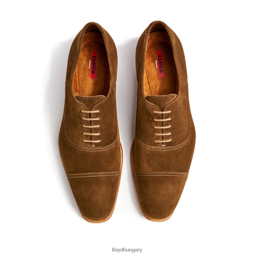 cipő HU LLOYD férfiak Rando barna 6444N231