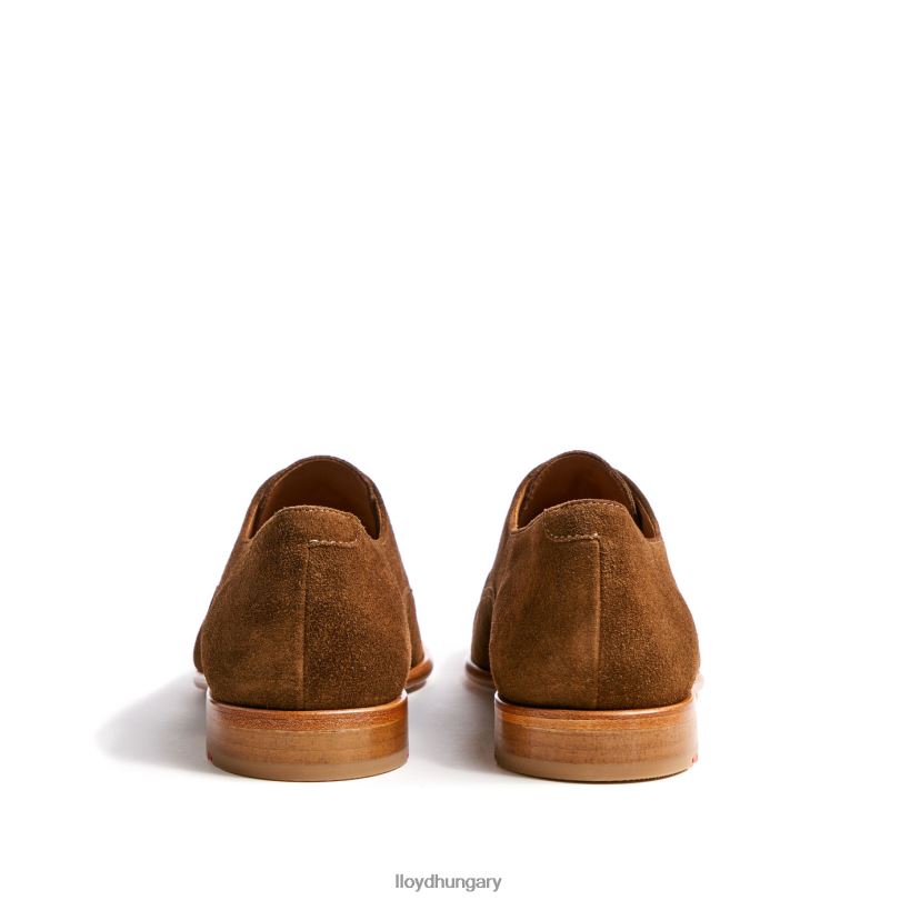 cipő HU LLOYD férfiak Rando barna 6444N231