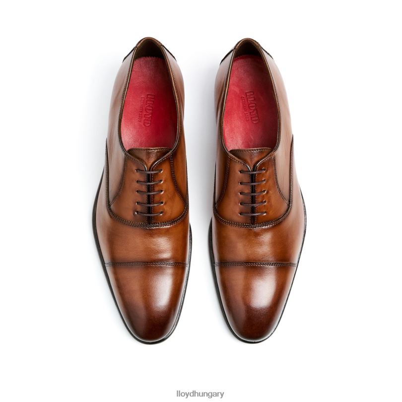 cipő HU LLOYD férfiak medence barna 6444N1