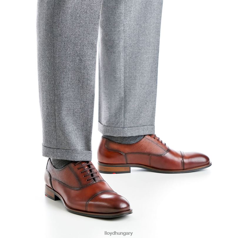 cipő HU LLOYD férfiak santiago barna 6444N238