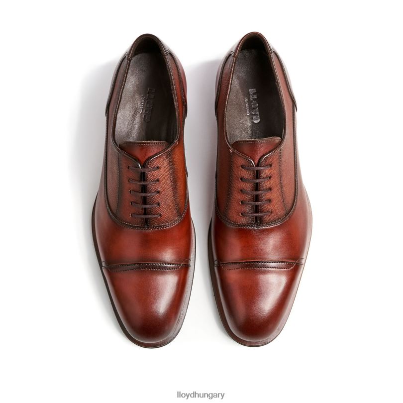 cipő HU LLOYD férfiak santiago barna 6444N238