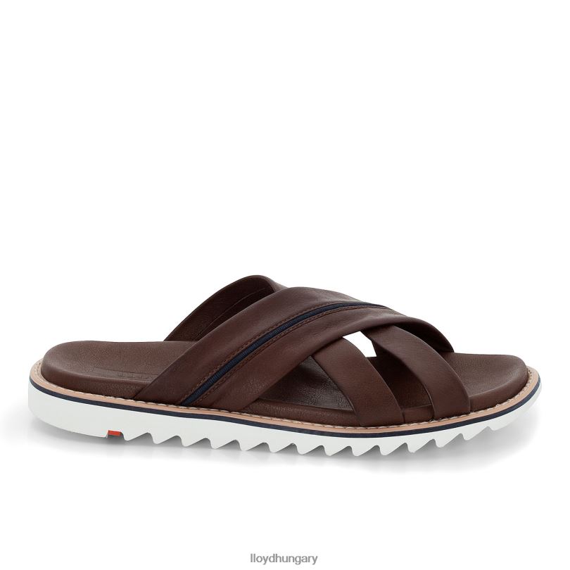 cipő HU LLOYD férfiak edvino barna 6444N584