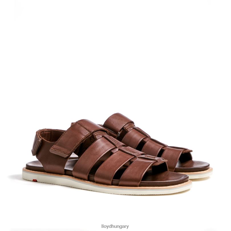 cipő HU LLOYD férfiak elimar barna 6444N583