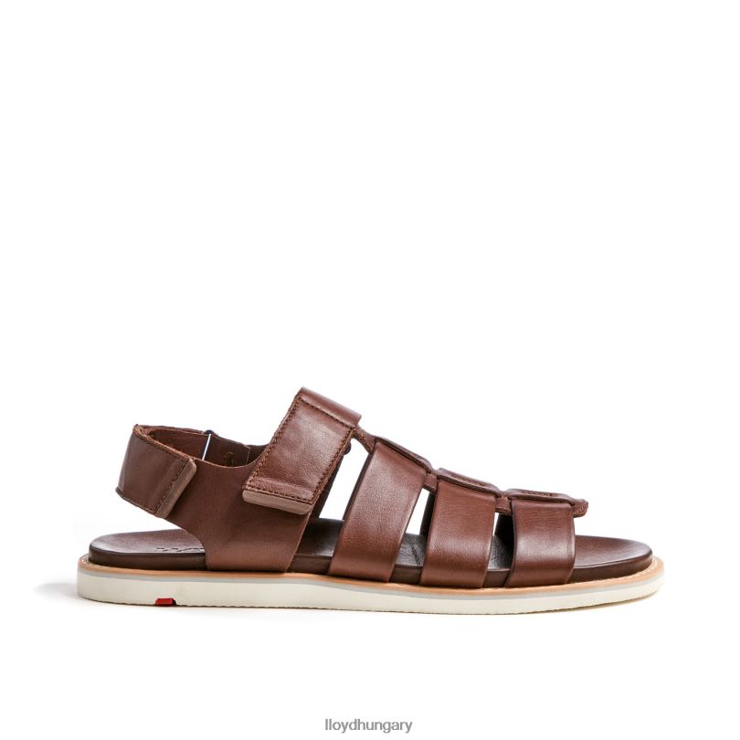 cipő HU LLOYD férfiak elimar barna 6444N583